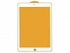 Стекло Ceramic iPad (2020-2021 10,2") Белый - фото, изображение, картинка