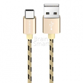 USB кабель Type-C Borofone BX24 Ring Current (1м) Золотой - фото, изображение, картинка
