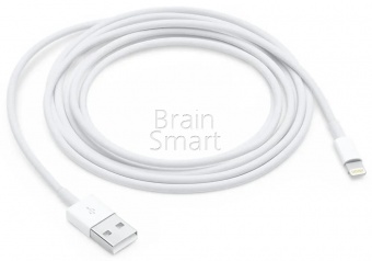 USB кабель Lightning Apple iPhone 7 Foxconn (2м)* - фото, изображение, картинка