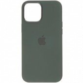 Накладка Silicone Case Original iPhone 12 Pro Max (58) Зелёный Сосновый - фото, изображение, картинка