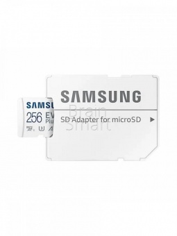 MicroSDXC 256GB Samsung Class 10 Evo Plus U3 (130 Mb/s) MC256KA + SD адаптер - фото, изображение, картинка