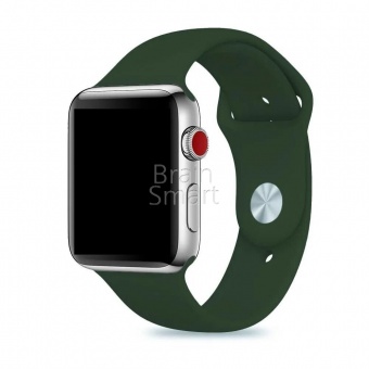 Ремешок силиконовый Sport для Apple Watch (38/40мм) S (65) Зеленая Сосна - фото, изображение, картинка