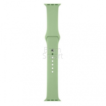 Ремешок силиконовый Sport для Apple Watch (42/44мм) M  (1) Оливковый - фото, изображение, картинка